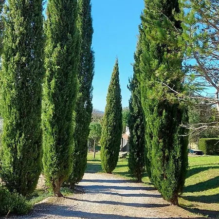 Luxueuse En Cevennes Villa