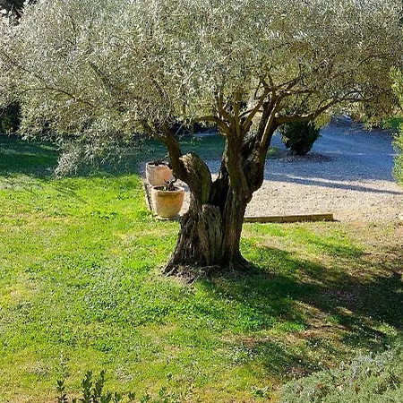 Luxueuse En Cevennes * Monteils (Gard)